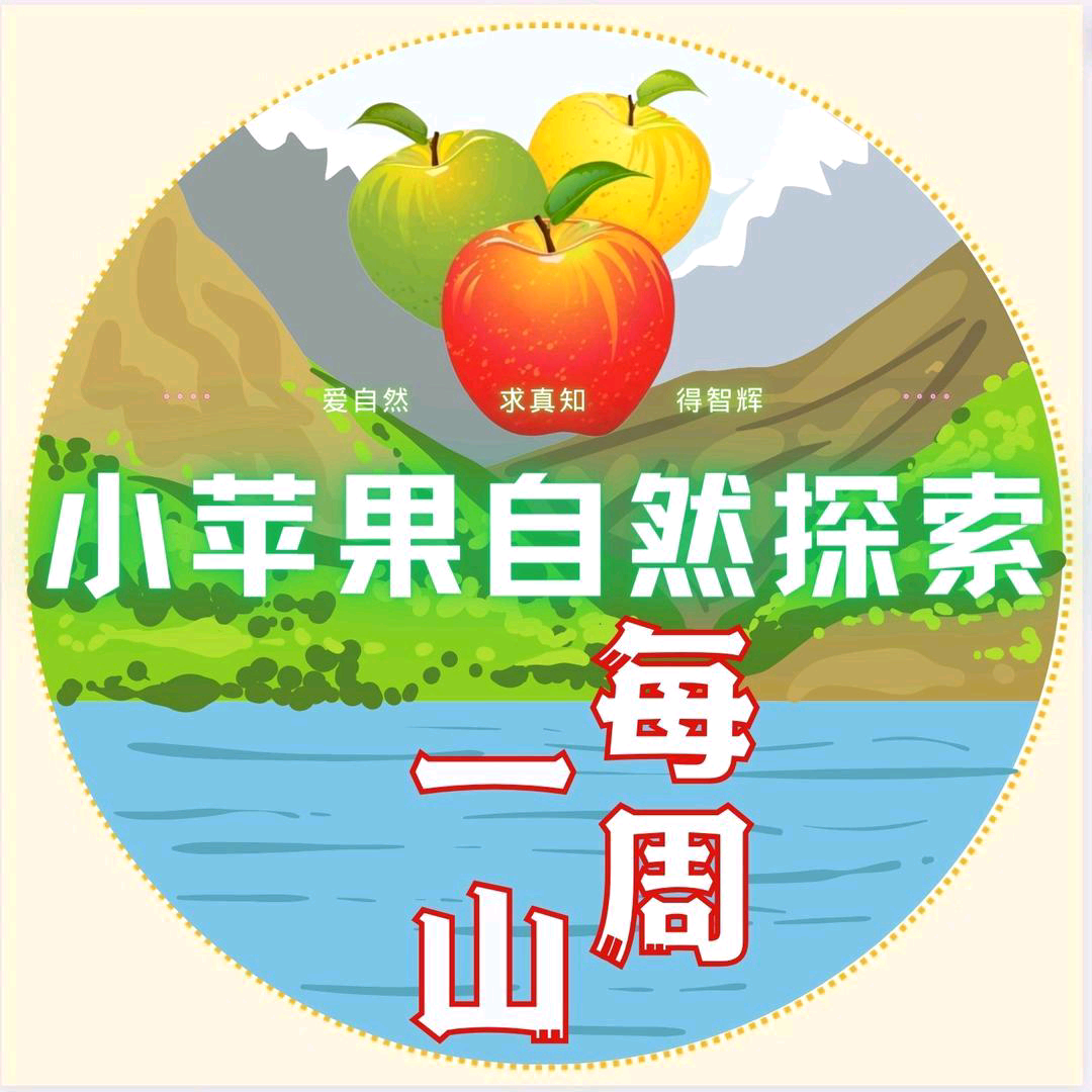 🍎青岛亲子户外①群 群聊头像