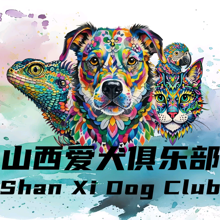 🇨🇳山西爱犬俱乐部1️⃣群 群聊头像