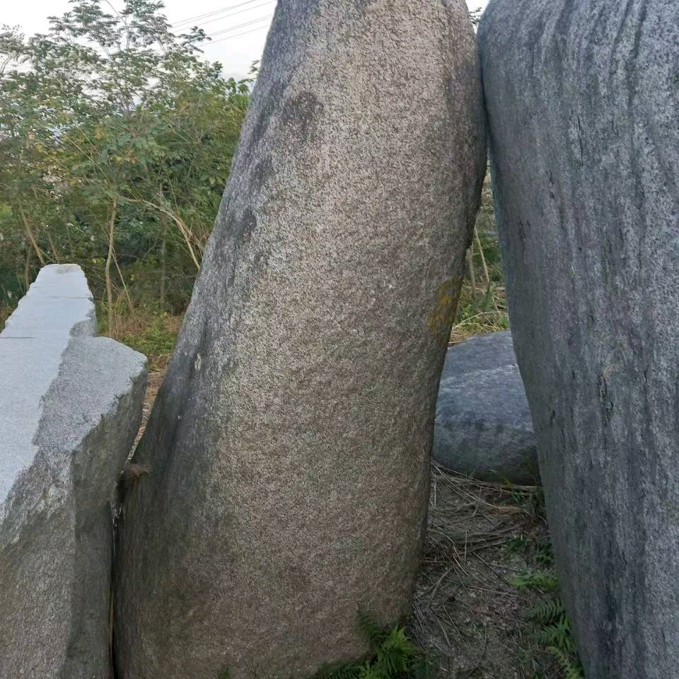 泳神泳馆游泳培训群 群聊头像