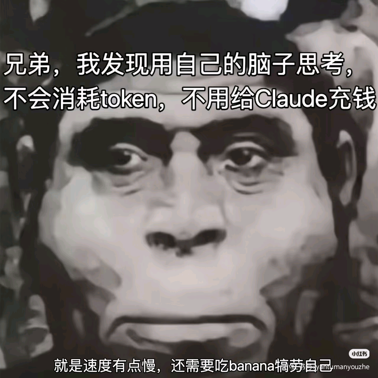 nody画布工作流分享群 群聊头像