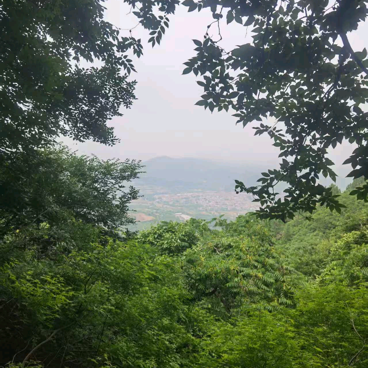安阳新手小白踏板摩友群 群聊头像