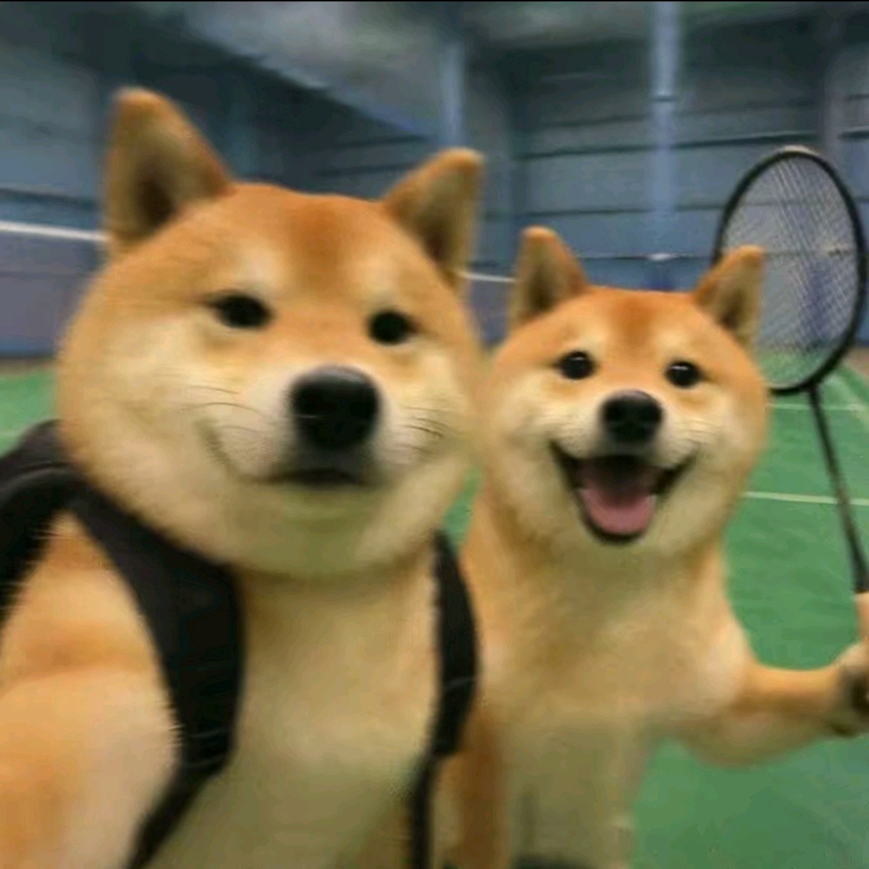 临沂羽毛球🏸骑行🚴🏻‍♀️🚴🏻 群聊头像
