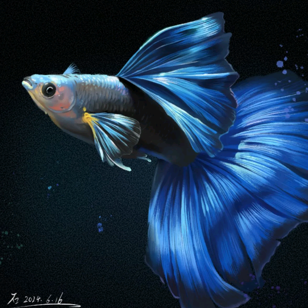 养点小鱼🐟 群聊头像