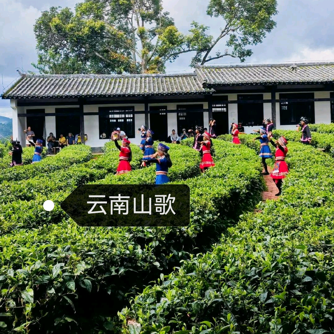 💅云南山歌群🎈 群聊头像