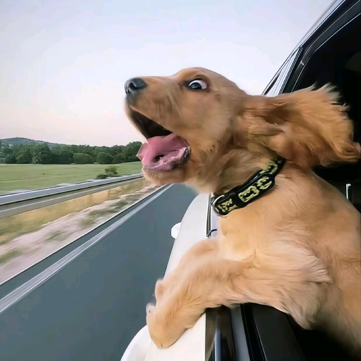 王者交友群 群聊头像