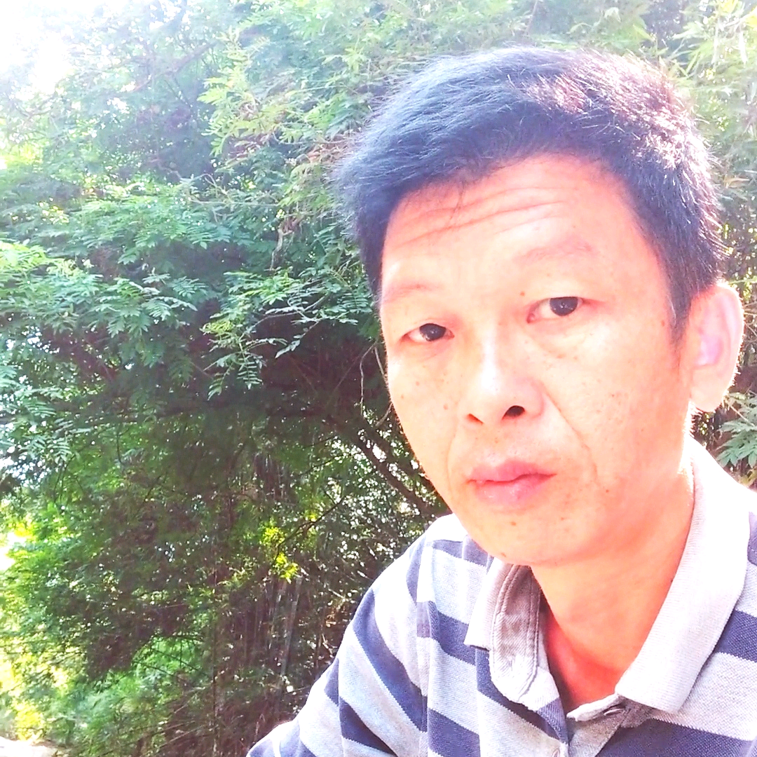 狮头鹅交流2群。 群聊头像