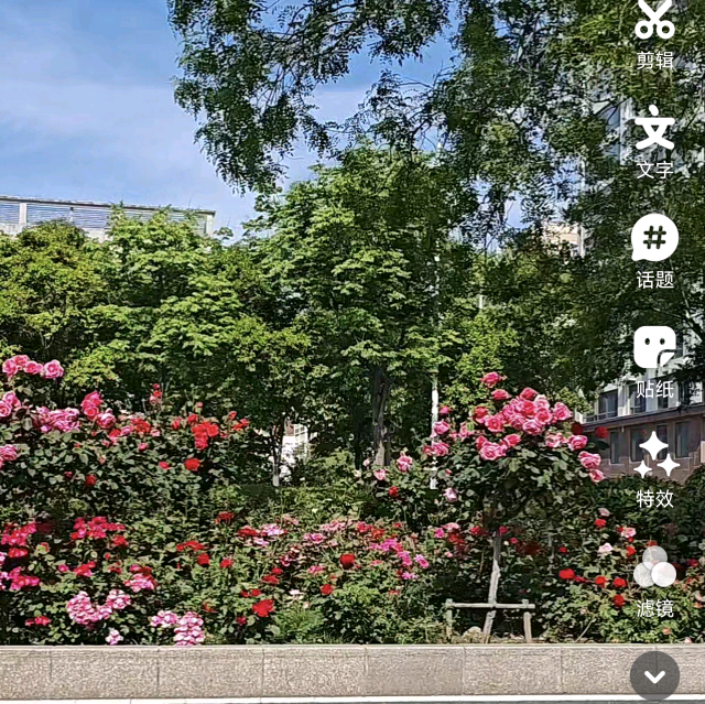 探讨折学 群聊头像