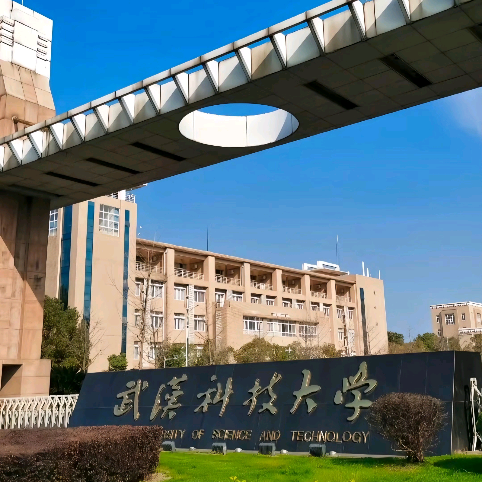 武汉科技大学26级新生群 群聊头像