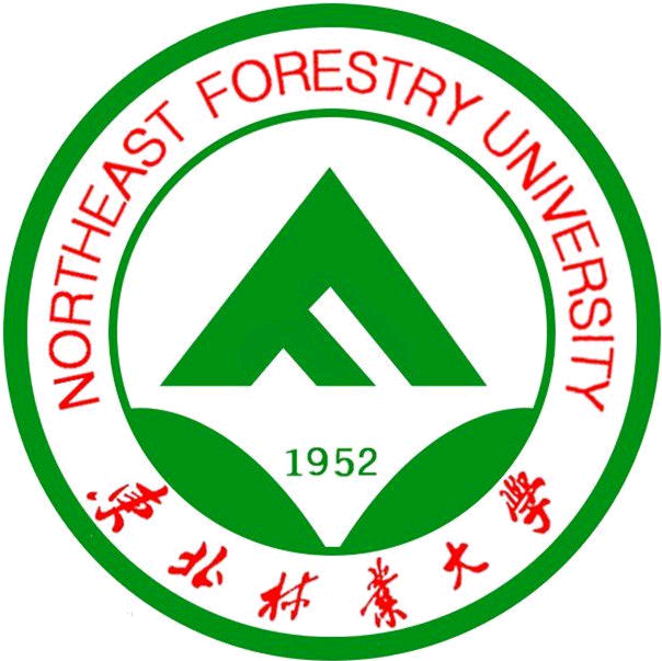东北林业大学26级新生答疑 群聊头像
