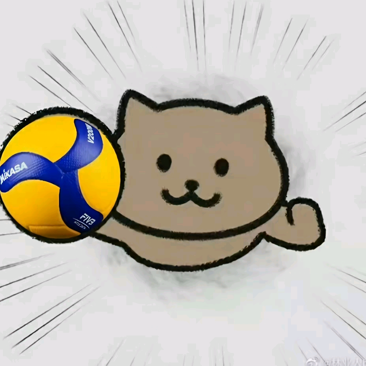 排球排球排球🏐 群聊头像