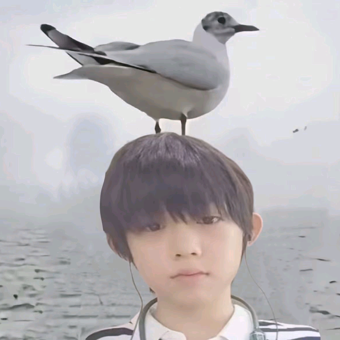 反黑群 群聊头像