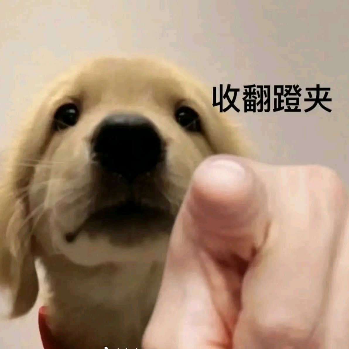 济南游泳搭子 群聊头像