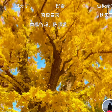 高质量提高群 群聊头像