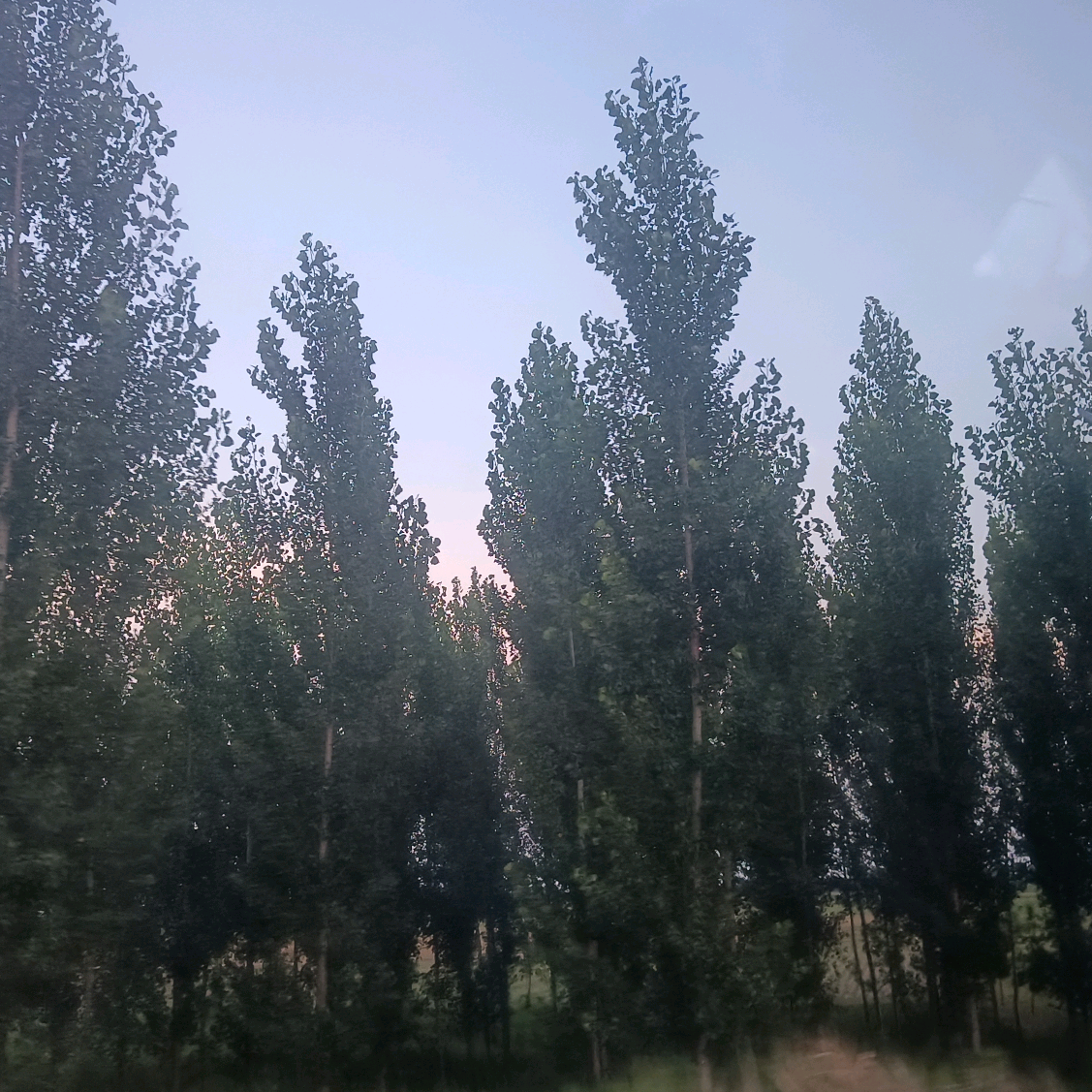 合唱唱歌群 群聊头像