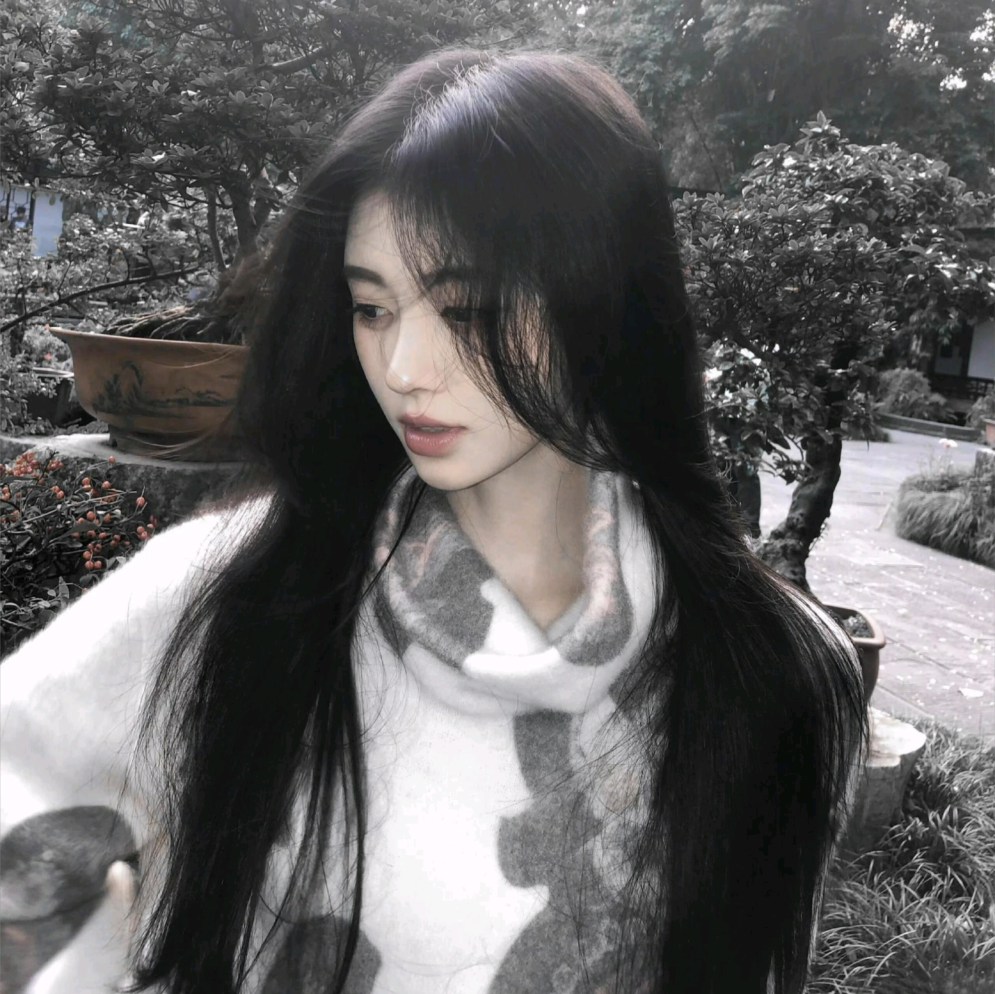 鞠婧祎 素材共享群 群聊头像