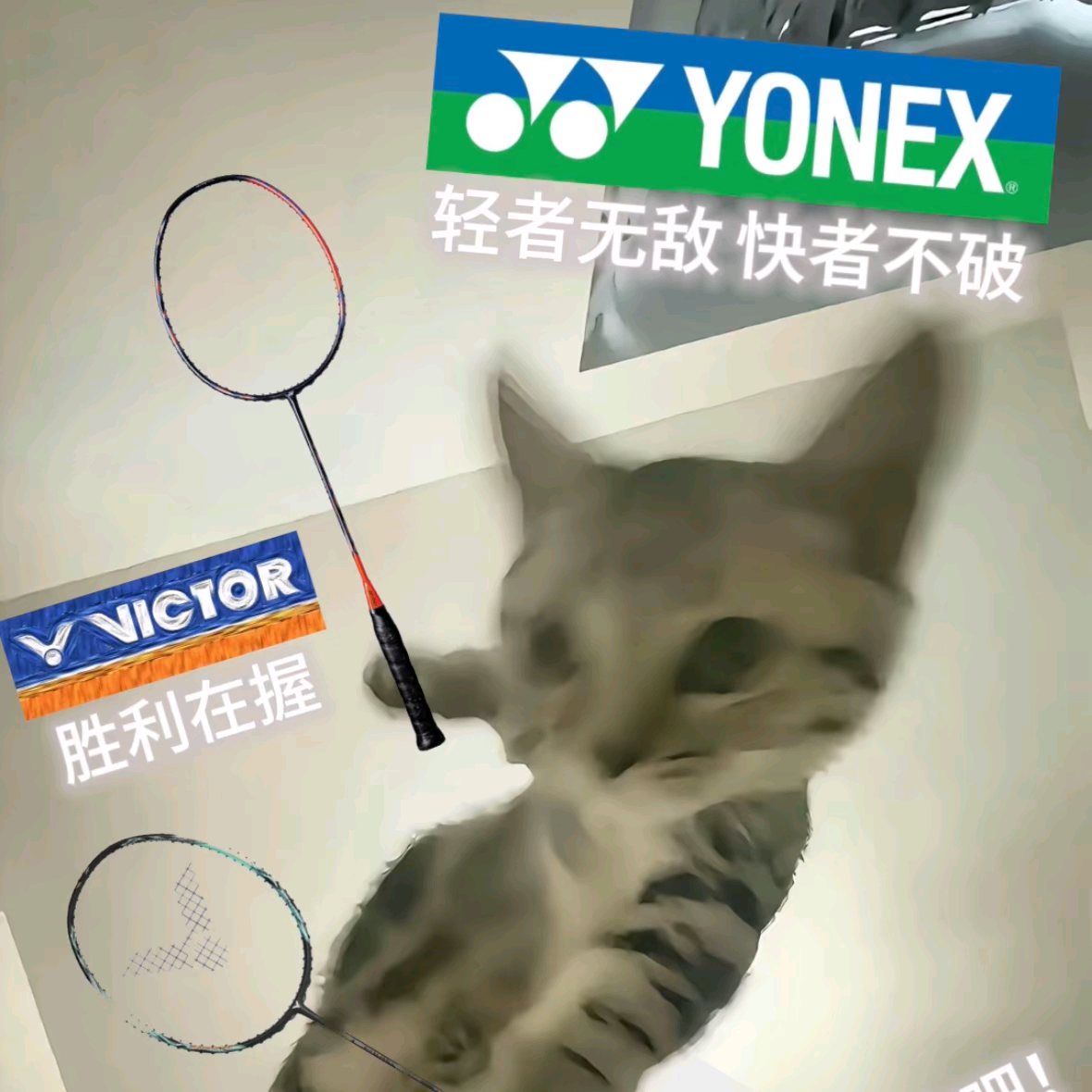 羽毛球搭子寻找群 群聊头像