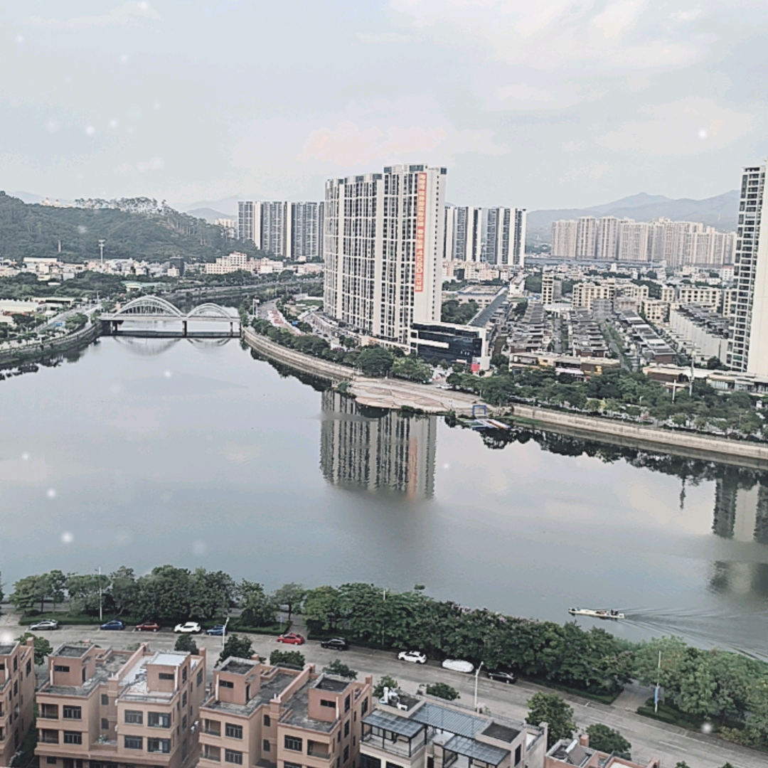 阳春鱼情第一研究院 群聊头像