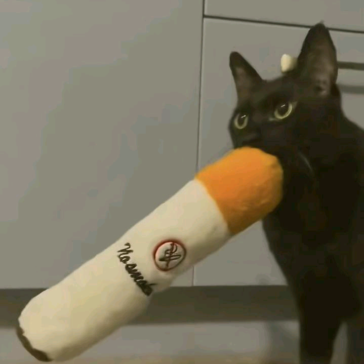 狐伴轻烟 群聊头像