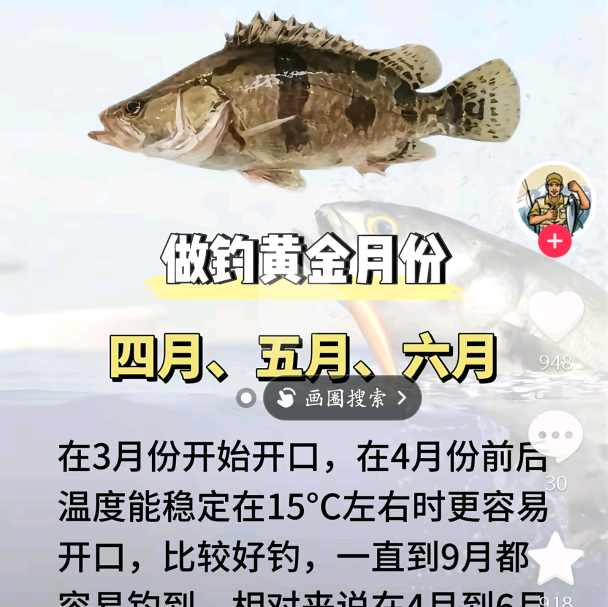 桥洞路亚 群聊头像