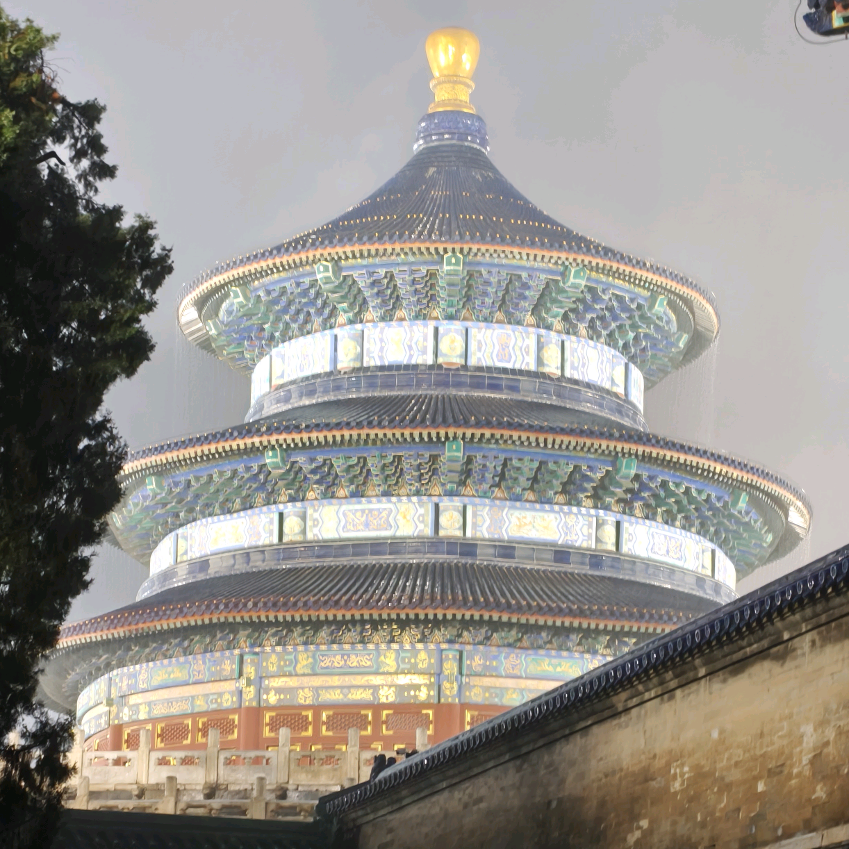 深圳秋假遛娃 北京 群聊头像