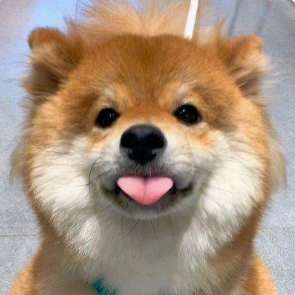 科研绘图素材分享 群聊头像