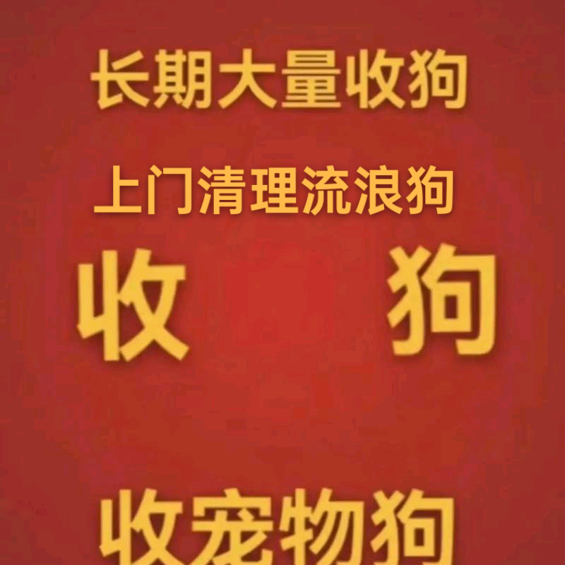 爱狗如命 群聊头像