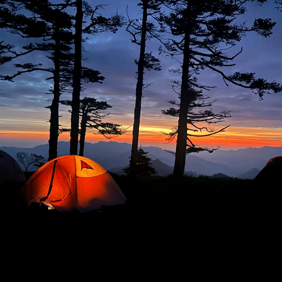 自游的风🏕️8群 群聊头像