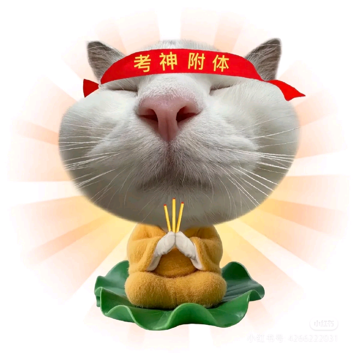 考编上岸冲刺大本营 群聊头像