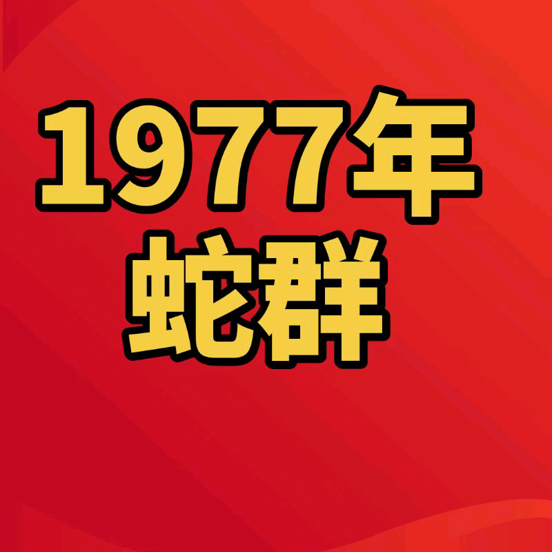 中国🇨🇳1977年蛇群（2群） 群聊头像