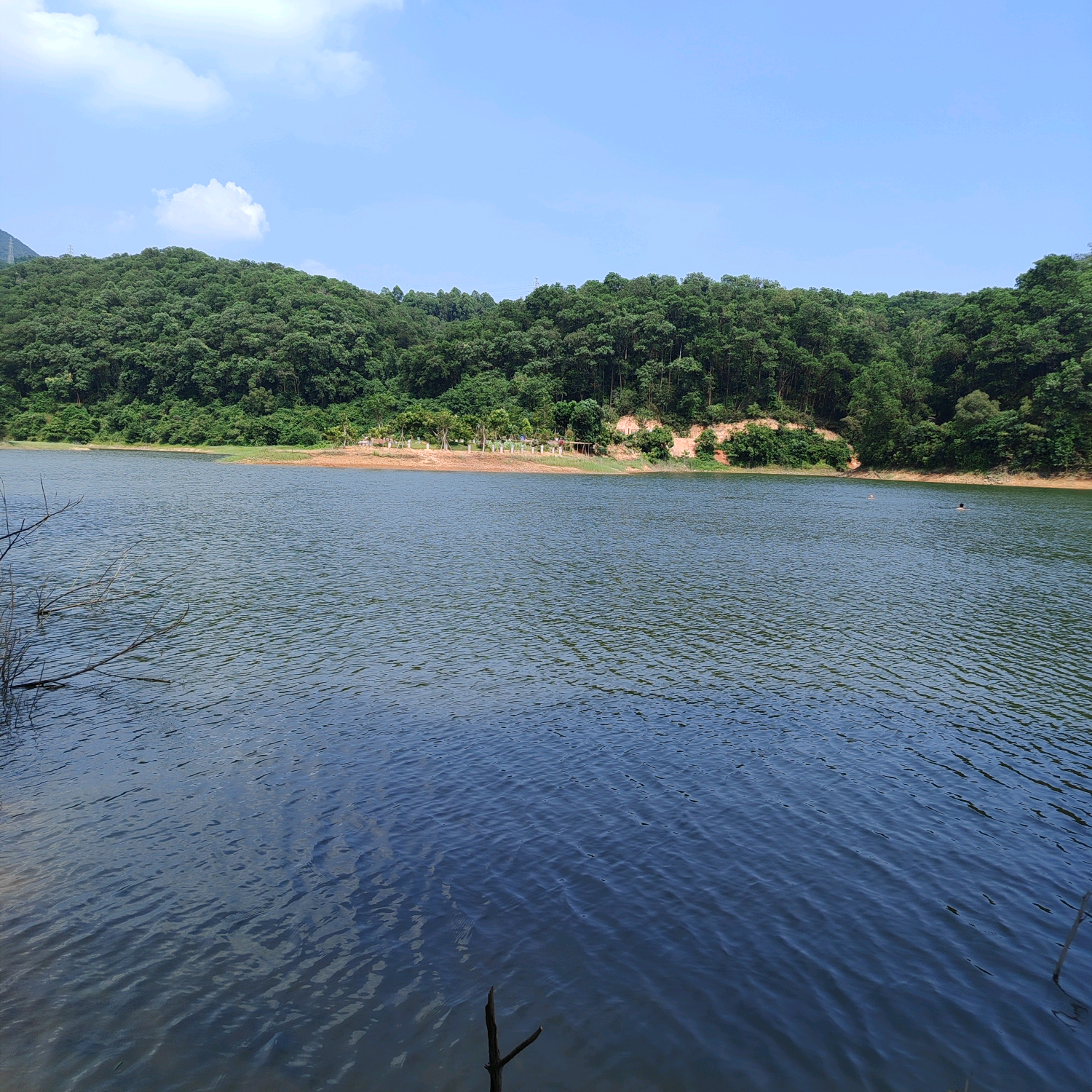 大岭山 户外游泳🏊🏻‍群 群聊头像