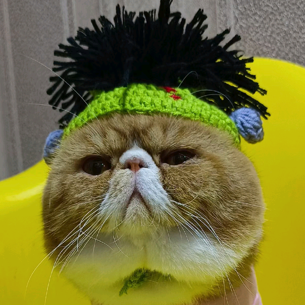 玩法达人任务 群聊头像