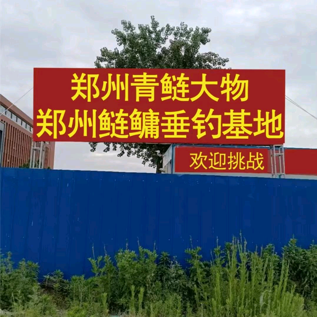 郑州青鲢大物2群(郑州鲢鳙垂钓基地) 群聊头像