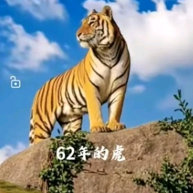 壬寅三同群 群聊头像
