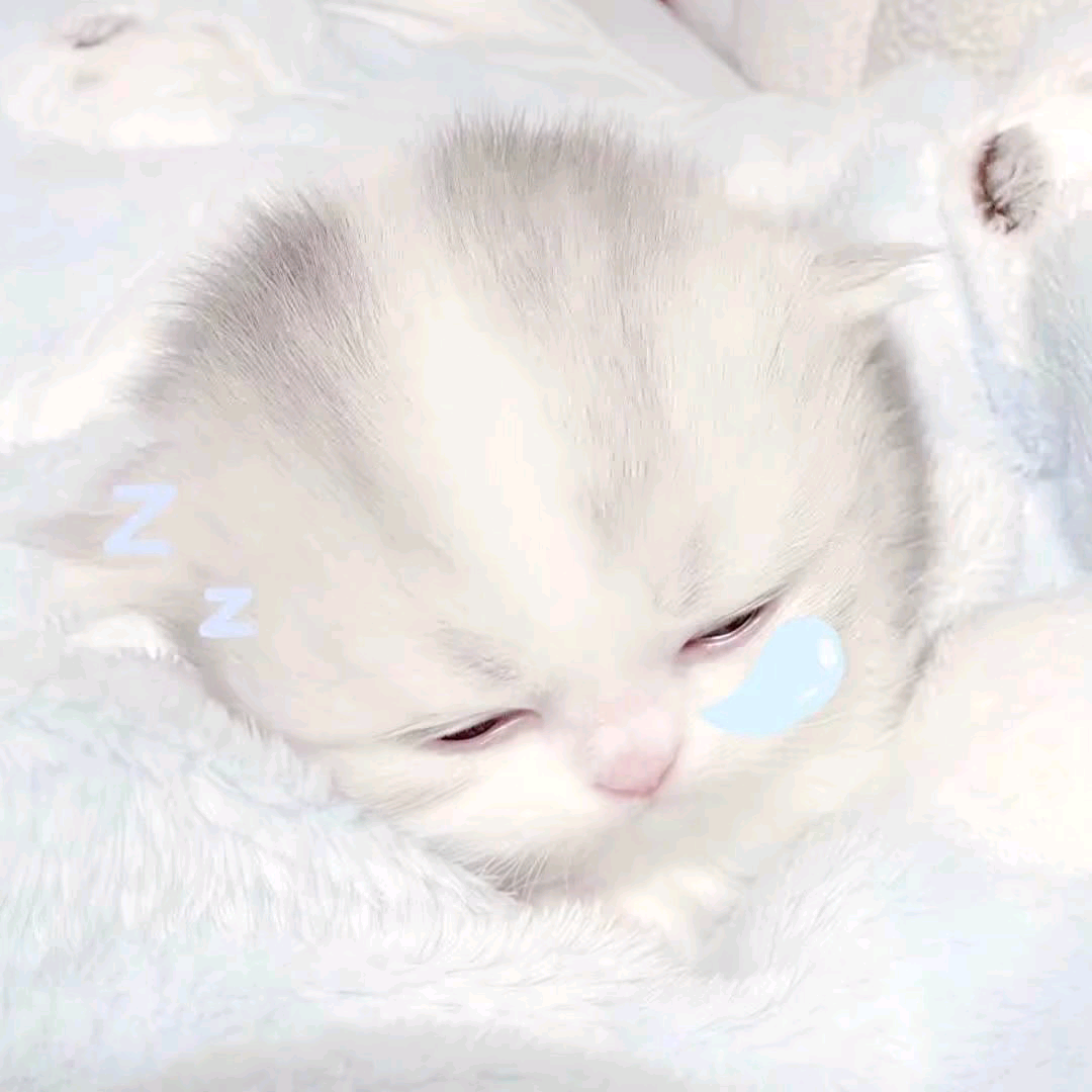 预约蹲踢^o^ 二群 群聊头像
