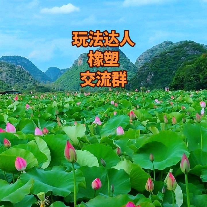玩法达人/橡塑交流群 群聊头像