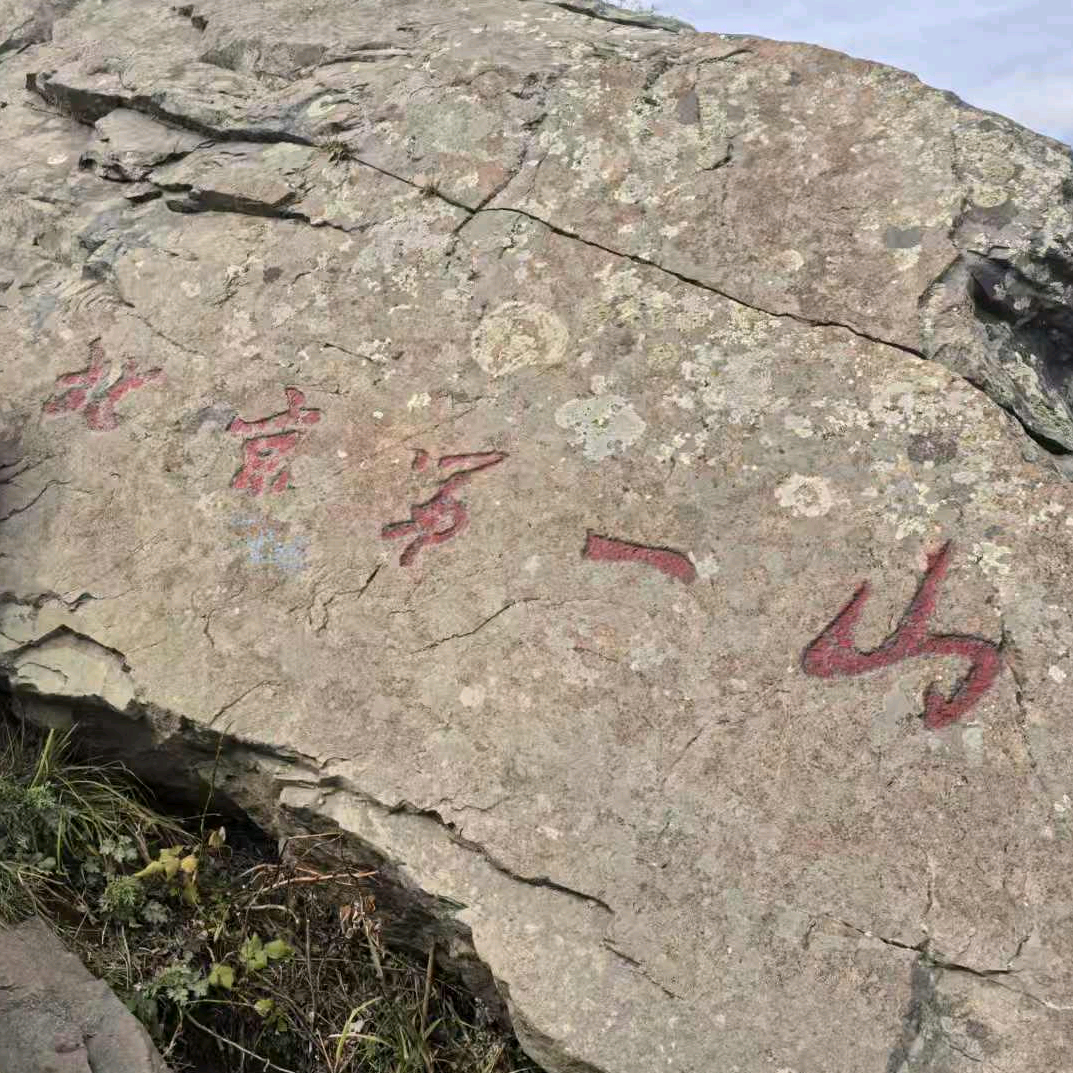 带娃爬山·徒步·游玩 群聊头像
