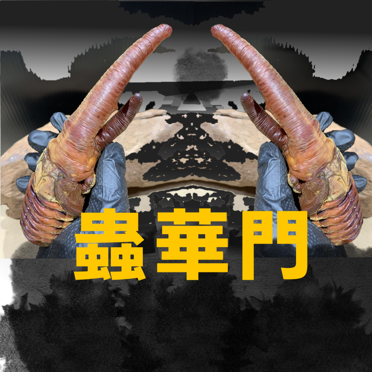 长戟甲虫交流群 群聊头像