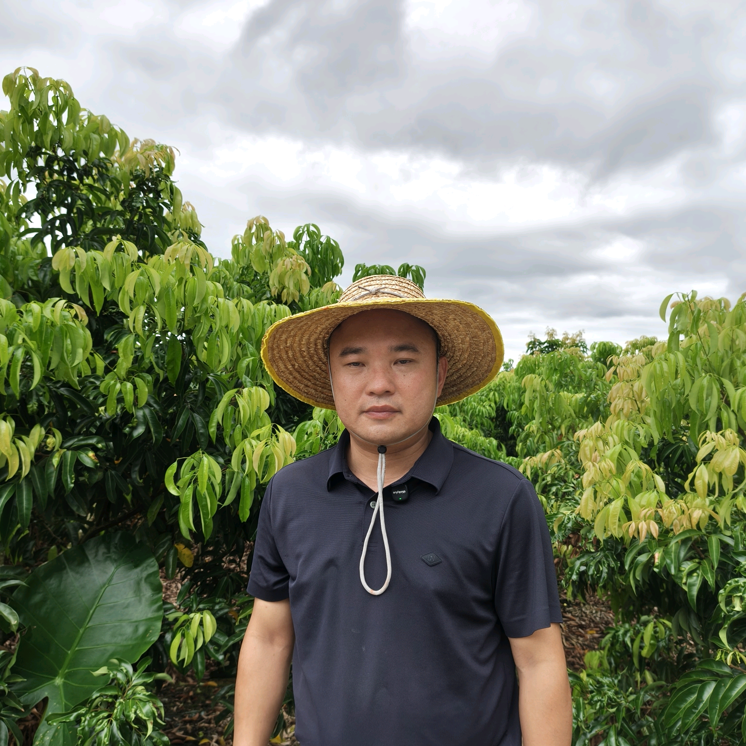 荔枝管理交流群 群聊头像