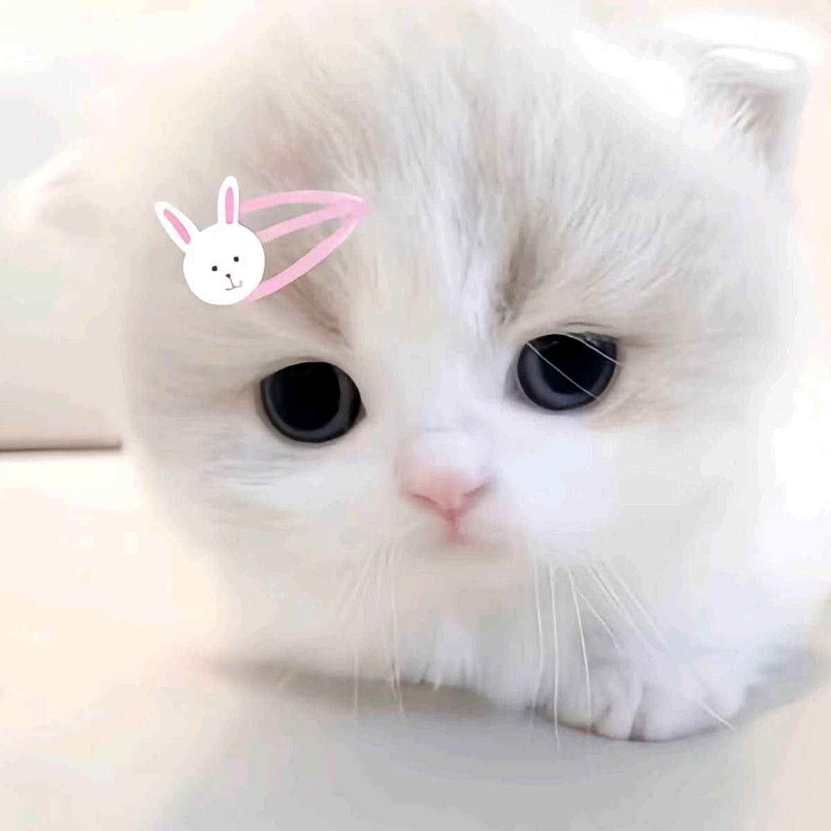 预约蹲踢^o^六群 群聊头像