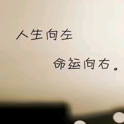 81年的🐔宝 群聊头像