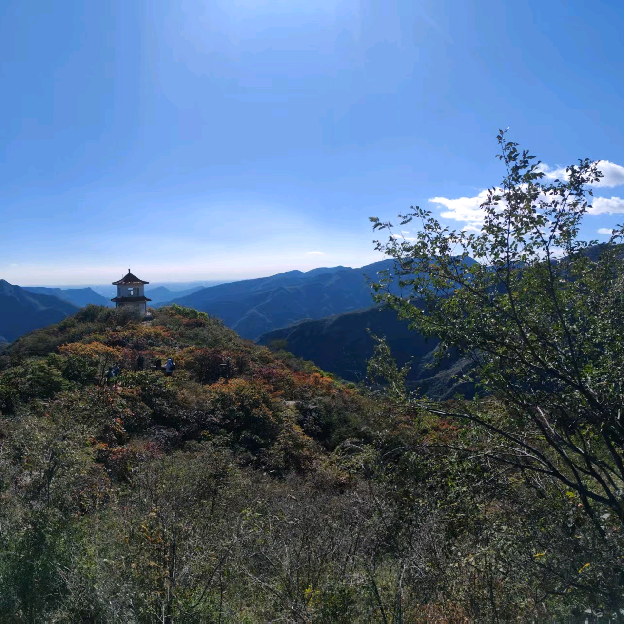 玖桉户外讨论组（徒步登山） 群聊头像
