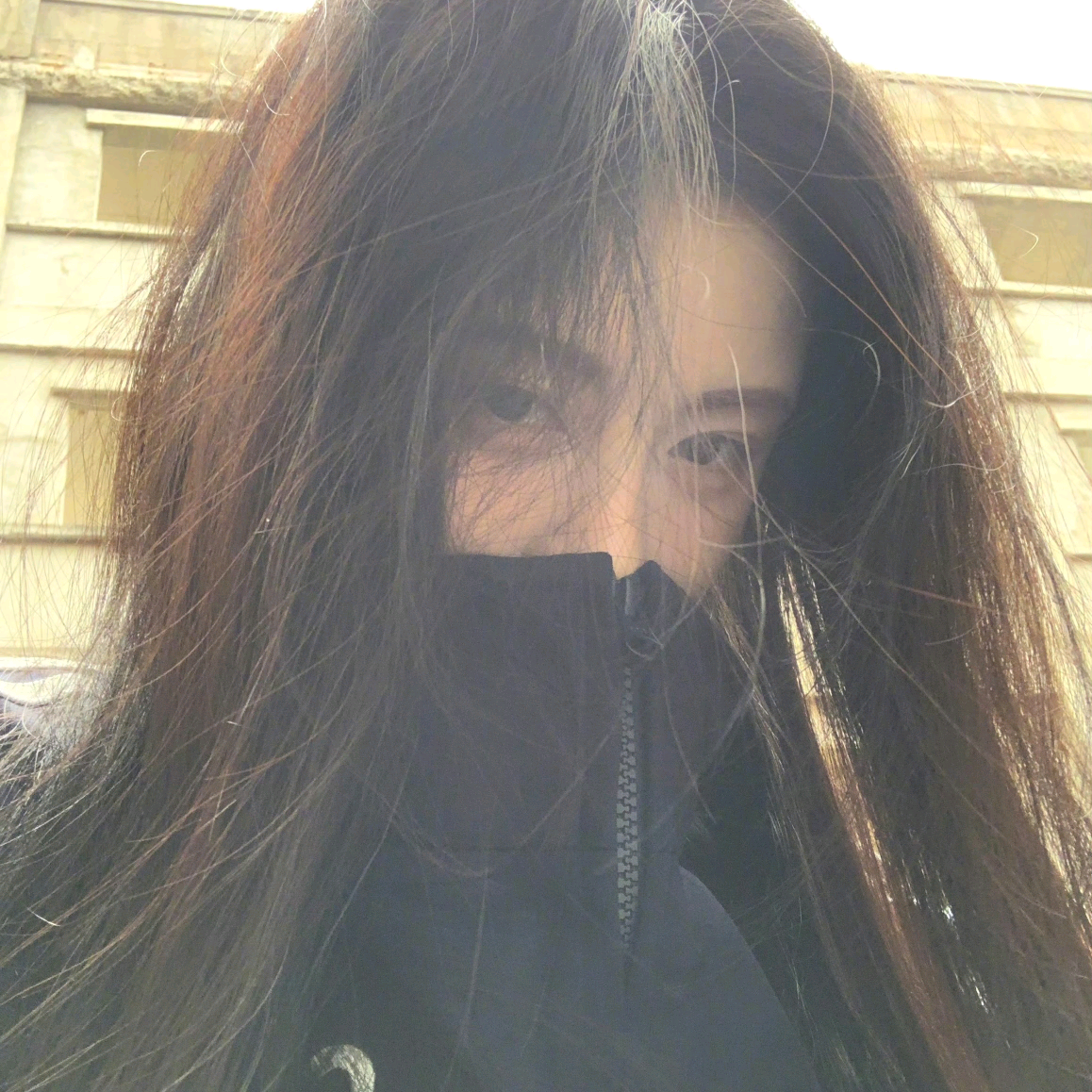 动图群 群聊头像