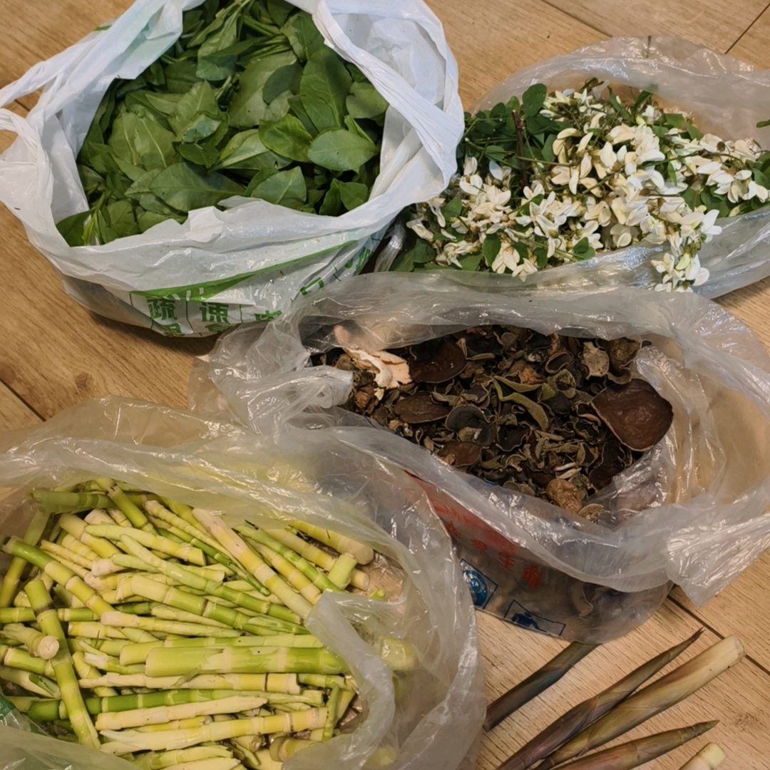 成都周边打野爬山 群聊头像