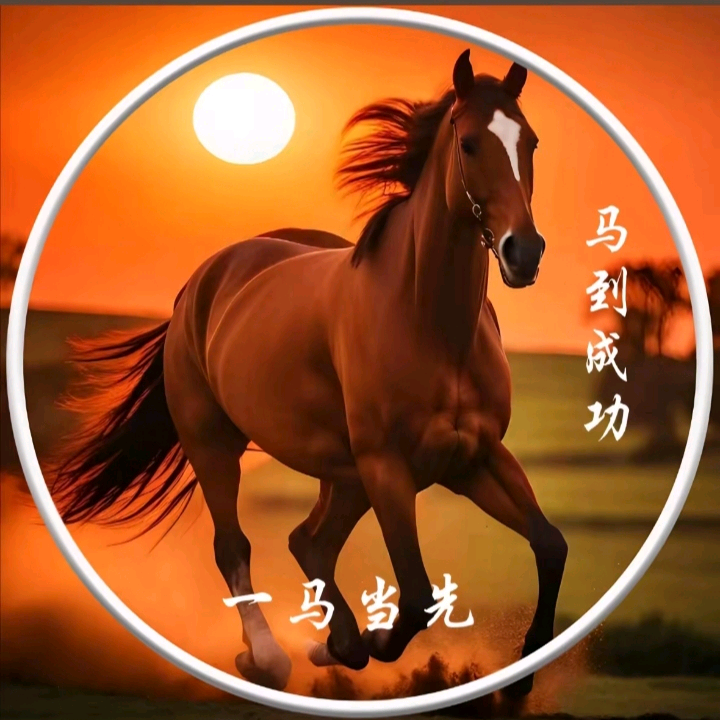 1966年阴历1月出生的马群 群聊头像