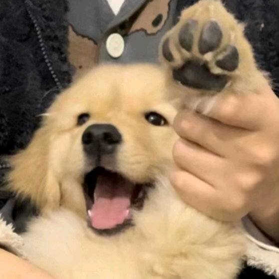 唱歌夸夸群 群聊头像