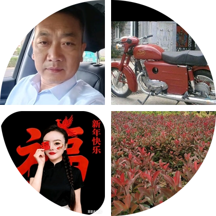 陈大超苗木交流群 群聊头像