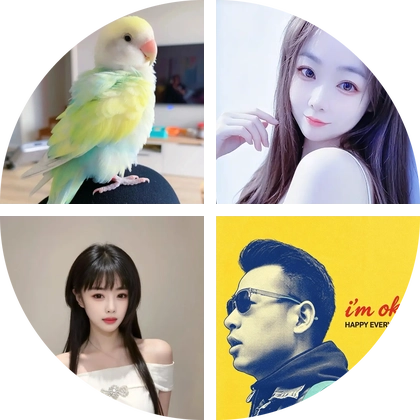 和尚鹦鹉开口说话 群聊头像