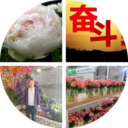芍药种植技术群 群聊头像