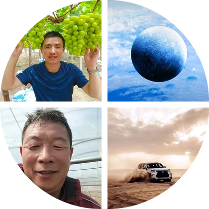 葡萄2群 群聊头像
