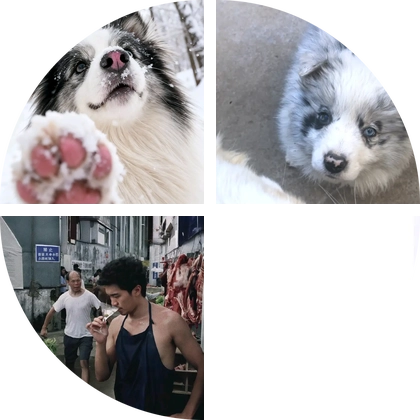 宠物交流群（🈲无关宠物广告） 群聊头像